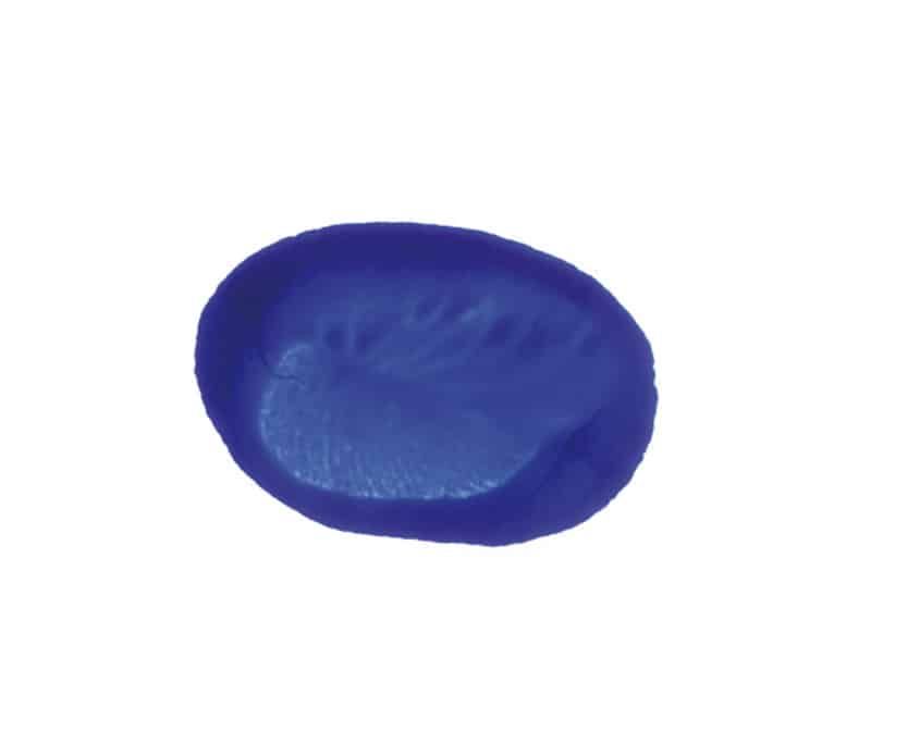 Tek oval mavi parmak izi, kaplumbağanın kabuğu için beyaz kağıda basılmış