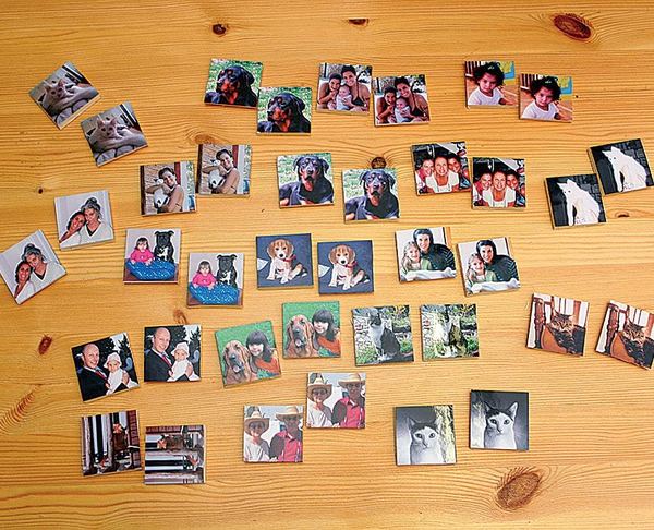 Hafıza oyunu için ahşap masaya dizilmiş, aile ve hayvan fotoğraflarından yapılmış küçük kartlar