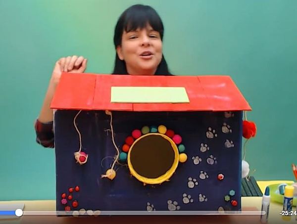 Kedi Evi canlı atölye yayınından kare: eğitmen kırmızı çatılı, yuvarlak kapılı lacivert kutu evi gösteriyor