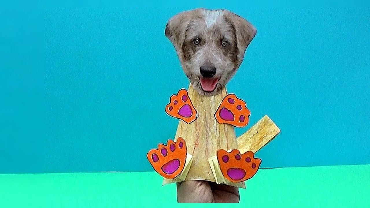 Elde tutulan köpek el kuklasının dört turuncu pençesi ve kuyruğu yakından, mavi yeşil fon önünde