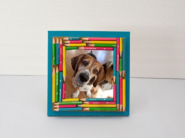 Kalem çerçeve: kısalmış renkli kurşun kalemlerle kaplanmış turkuaz çerçeve, içinde köpek fotoğrafı